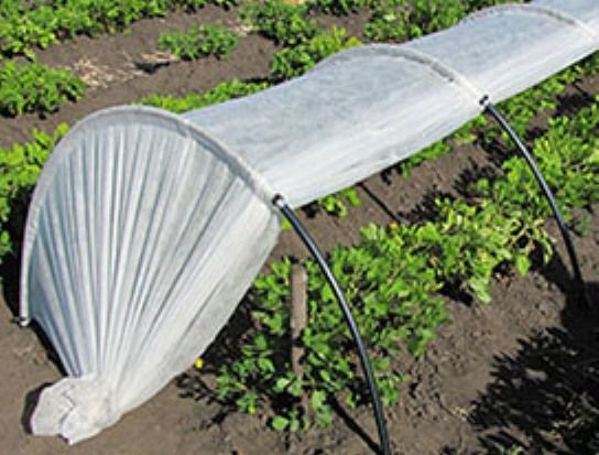 Włókno rolnicze (Agro spunbond) Biotol biały 30 g/m², 1,6x50m